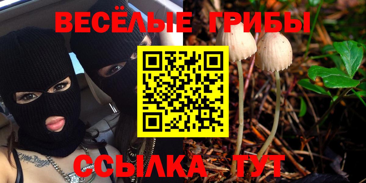 Галлюциногенные грибы MAGIC MUSHROOMS Ачхой-Мартан